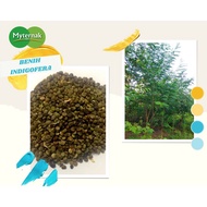 BENIH INDIGOFERA MYTERNAK 15GRAM
