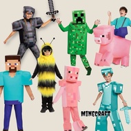 Minecraft Movie Cereal Halloween Costume