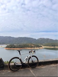 ‼️快走全車‼️Ceepo Stinger 2022