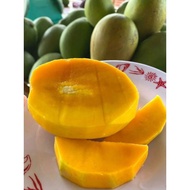 Mangga Harum Manis Perlis 1kg