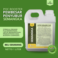 Pupuk Pembesar Buah Semangka / Pupuk Penyubur Tanaman Buah Semangka Obat ZPT Booster Buah Semangka