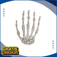 Smile Today Hpm-18 Hairpin Hair Pin Halloween Gothic Hand Skull Dr-02