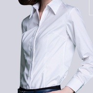 [G2000] Style WOMAN V-Neck (Neckline Buttonless) Women's Long-Sleeved Shirt Full Size Area 10% Shrim