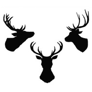 數位 Deer head svg, stag head svg, deer head pdf, stag head pdf, deer head template