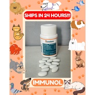Immunol Tablet (SOLD PER PIECE) - Immune Booster - Immunol Best - Immunol Liquid