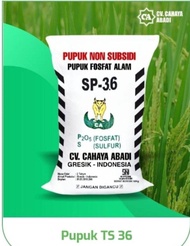 PUPUK SP 36 | TS | PUPUK tanaman | pupuk non subsidi | pupuk organik | penyubur tanah | Penyubur tanaman | kebun