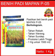 benih padi mapan 05 asli