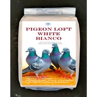 PIGEON LOFT WHITE - BIANCO