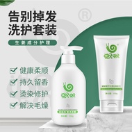Snail Pure Ginger Shampoo Shampoo Conditioner Snail Hair Mask Snail Nutrition Hair Mask (New Formula