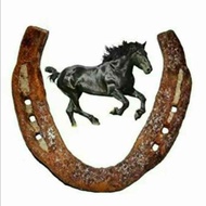 kuthurai ladam horse shoe dristy