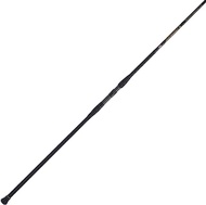 PENN 10’ Battalion II Surf Conventional Casting Rod, 15-30lb Line Rating, 2 Piece Graphite Composite Fishing Rod, Black/Gold