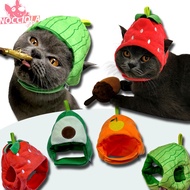 Current Trends in knitted cat hats, cat hats, cat accessories, knitted dog hats, animal hats, anabul