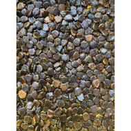 Gac FRUITS SEED Gac Fruit seeds