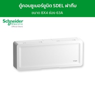 Schneider ตู้คอนซูมเมอร์ยูนิต บัสบาร์แยกแบบปลั๊กออน ฝาทึบ ขนาด 8+4 ช่อง รหัส SDEL18X4RCCB63 รุ่น Squ