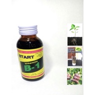 HORMON PENGGALAK AKAR VITAMIN B-1 AMINO ACID