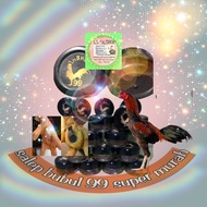 salep bubul 99 obat cream bubul ayam tarung