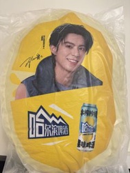 哈爾濱啤酒 王鶴棣聯名抱枕 靠墊 咕𠱸