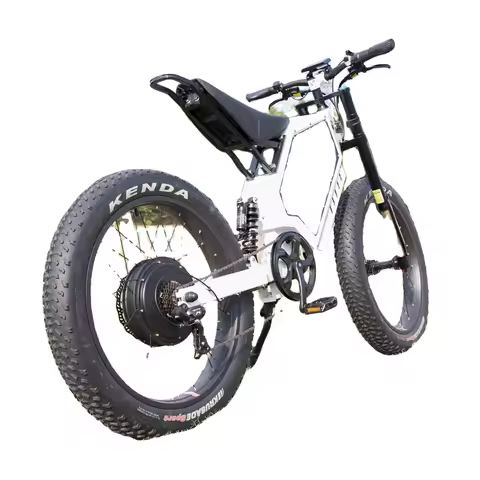 Electric Fat Tire Bike For Sale/Adult Fat Tire Electric Bike 3000w/26 inches