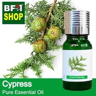 Pure Essential Oil (EO) - Cypress Essential Oil - 10ml
