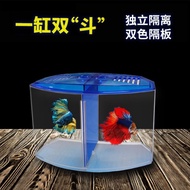 2026 New Style Large Double Fighting Fish Box Ecological Fighting Fish Tank Mini Aquarium Plastic Is
