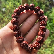 gelang rudraksha jenitri berkualitas