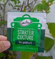 BAKTERI LACTOBACILLUS BULGARICUS (LACTINA)/BIBIT YOGURT