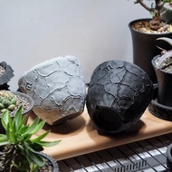 CBP013植木鉢 原創設計/3D列印/多肉塊根植物/盆器盆栽/送禮