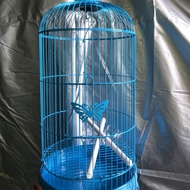 / pleci bird cage,/ pleci bird cage, small bird cage, boom cage