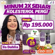 BIO INSULEAF ORIGINAL 100% Obat Diabetes ASLI - Official Store Partner - Turunkan Gula Darah Tinggi