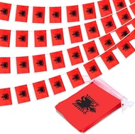 National Flag 14x21cm20pcs/set Albania bunting flags Pennant String Banner Buntings Festival Party H