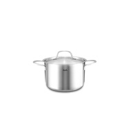 Fissler 20cm Double Handle Pot, Fissler New Family Stew Pot, Compatible with IH and Gas Cooktops, Ov