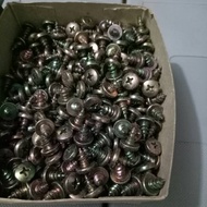 5mm x 8mm screw