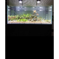 Fish tank set