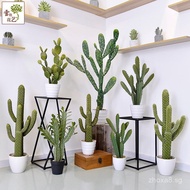 Artificial Cactus Home Living Room Decoration Fake Plant Potted Plant Tropical Desert Bonsai Indoor 