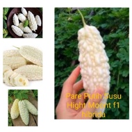 1 Biji Benih PARE PUTIH SUSU Hight Moont F1 hybrida pare jepang
