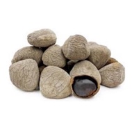 Kluwek Rawon Kluwak Waspon Indonesian Product 500gr