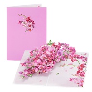 Cymbidium Orchids Pop-up Greeting Card with Envelope Flowers Postcard Floral Birthday Cards Valentin