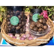 [500g] Fermented Black Solo Garlic Large Bulb