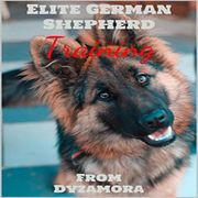 Elite German Shepherd Training Roland Brandt