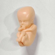 §∞ ∝∞ Human Baby Figure Mini Dolls Organs Anatomy Skeleton Medicine Teaching Maternal Fetus DIY Toys