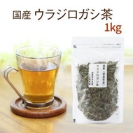 ウラジロガシ茶 100ｇ×10 お徳用 送料無料