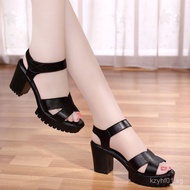 Amazing Price High Heel Sandals for Women, Chunky Heel, Mid Heel, Summer New Style, Versatile Chunky