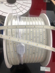 ไฟเส้น ไฟสายยาง Led Stripไฟสายยางท่อแบน SMD 220v  IP67 ไฟเส้นประดับตกแต่ง (100 เมตร)(แถมฟรี ปลั๊กหัว