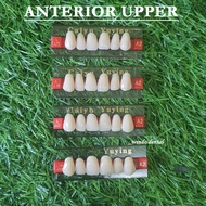 Dental Gigi Palsu Caiyu Anterior Upper Depan Atas
