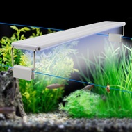 ไฟตู้ปลา LED บางเฉียบไฟปลูกต้นไม้น้ำกันน้ำได้, ไฟ LED สีฟ้าขนาด18-72ซม. สำหรับพืช220V