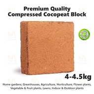 4.5kg Cocopeat Block Premium Coir Coco Peat Compressed Cocopeat Brick Garden Soil Bongkah Sabut Kela