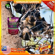 Baja Organik Tahi Kelawar Bat Guano Mix Baja Kelawar Sesuai Untuk Semua Jenis Tanaman 1 Kg