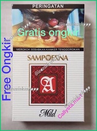 Spesial Sampoerna Mild 16 1 Slop