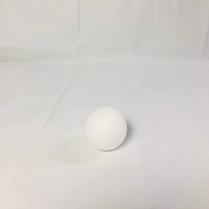 PING PONG BALL TABLE TENNIS BALL WHITE