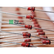 Zener Diode 1 Watt 1W 10 pieces